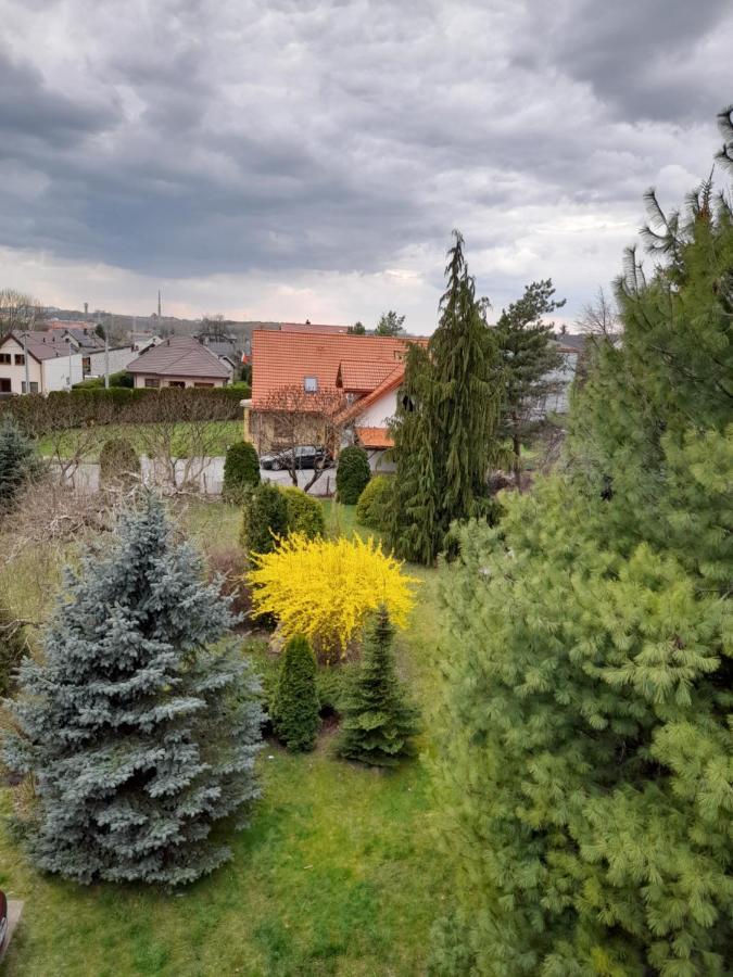 Apartment Zawady Bialystok